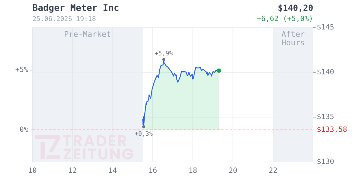 Badger Meter Chart